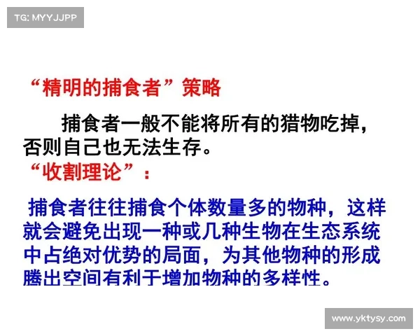 暗月岛兔子背后隐藏的神秘生态系统与生物多样性探秘