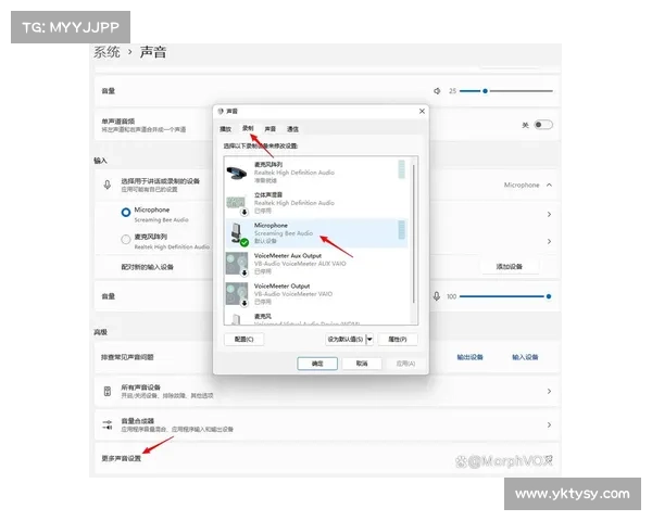 MorphVox Pro使用教程与技巧全面解析提升语音变换体验 MorphVox Pro使用教程与技巧全面解析提升语音变换体验