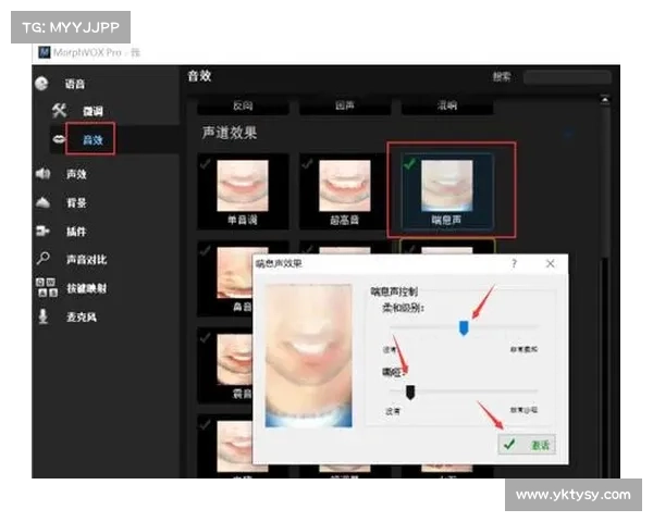 全面解析MorphVox Pro的变声技术与应用魅力 全面解析MorphVox Pro的变声技术与应用魅力