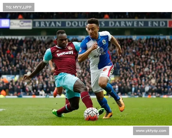 揭开英冠联赛幕后真相深度解析赛事背后的激情与策略